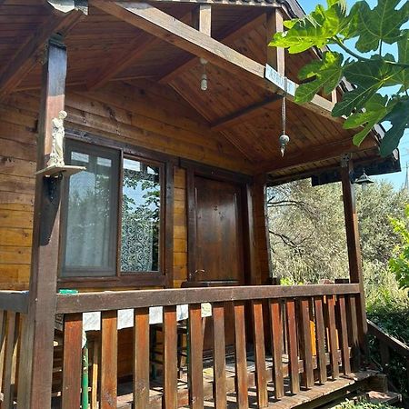 Olimpos Bungalov Apart Aparthotel Balikliova Εξωτερικό φωτογραφία